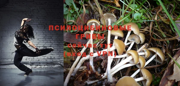 экстази Алексин