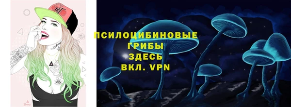 экстази Алексин