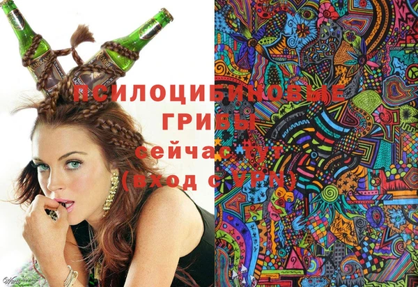 экстази Алексин