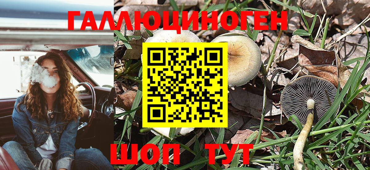Галлюциногенные грибы мухоморы Дзержинск
